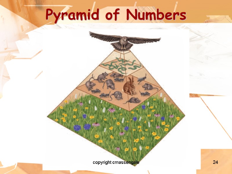 24 Pyramid of Numbers copyright cmassengale